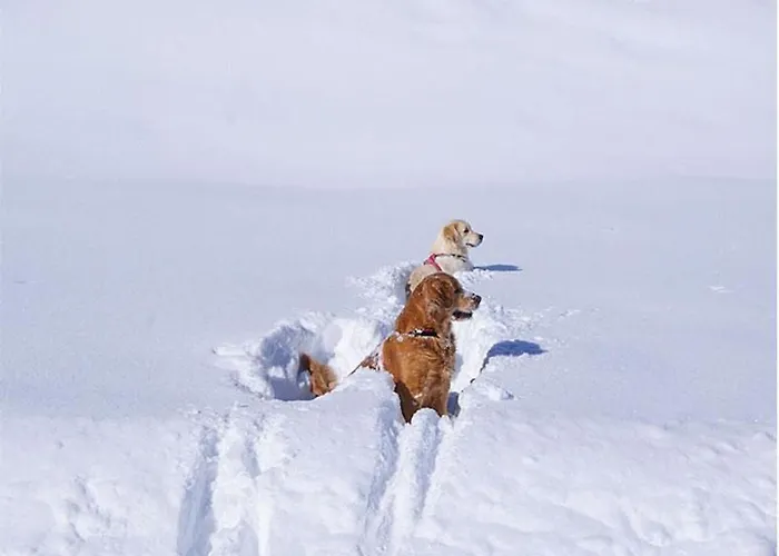 Kuenzel By Interhome Apartment Schroecken